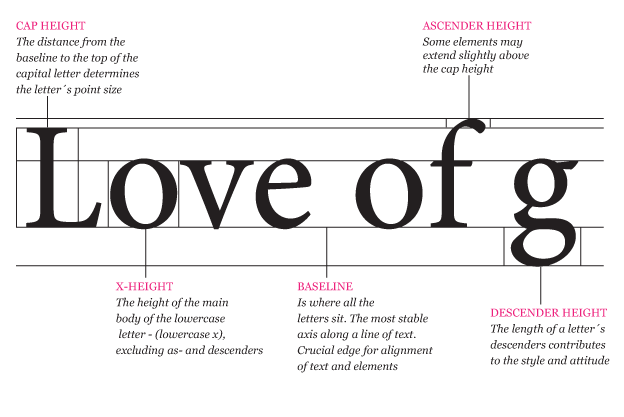 Anatomy of Letter, typography illustration by Kasper Aaberg, graphic designer