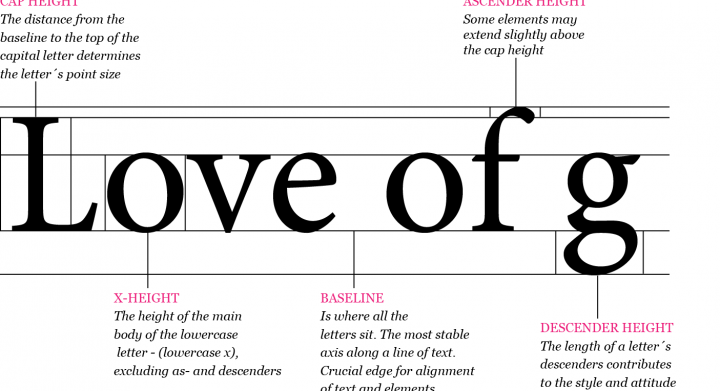 Typography - The Anatomy of Letters